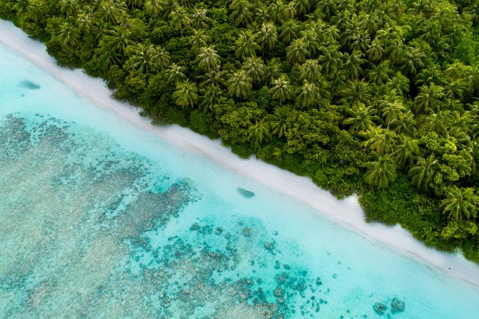 The Island: Survival and Storytelling