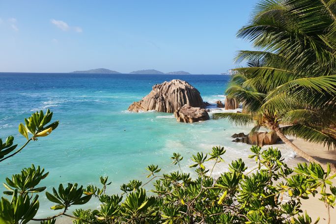 The Island: Mapping the Island Lesson Plan