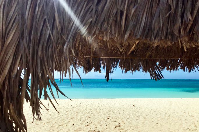 The Island: Finding Shelter Lesson Plan
