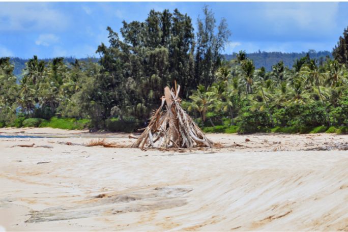 The Island: Text Study Lesson Plan