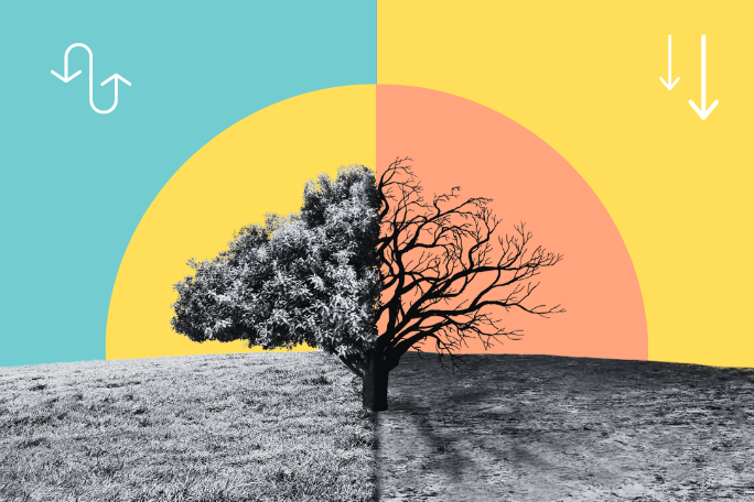 Climate Literacy 20 Truths About Climate Change Lesson Plan