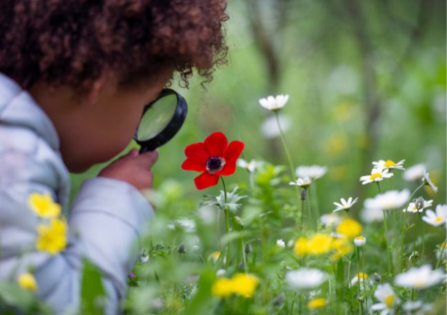 Naturally Mindful: Guided Mindfulness Experiences