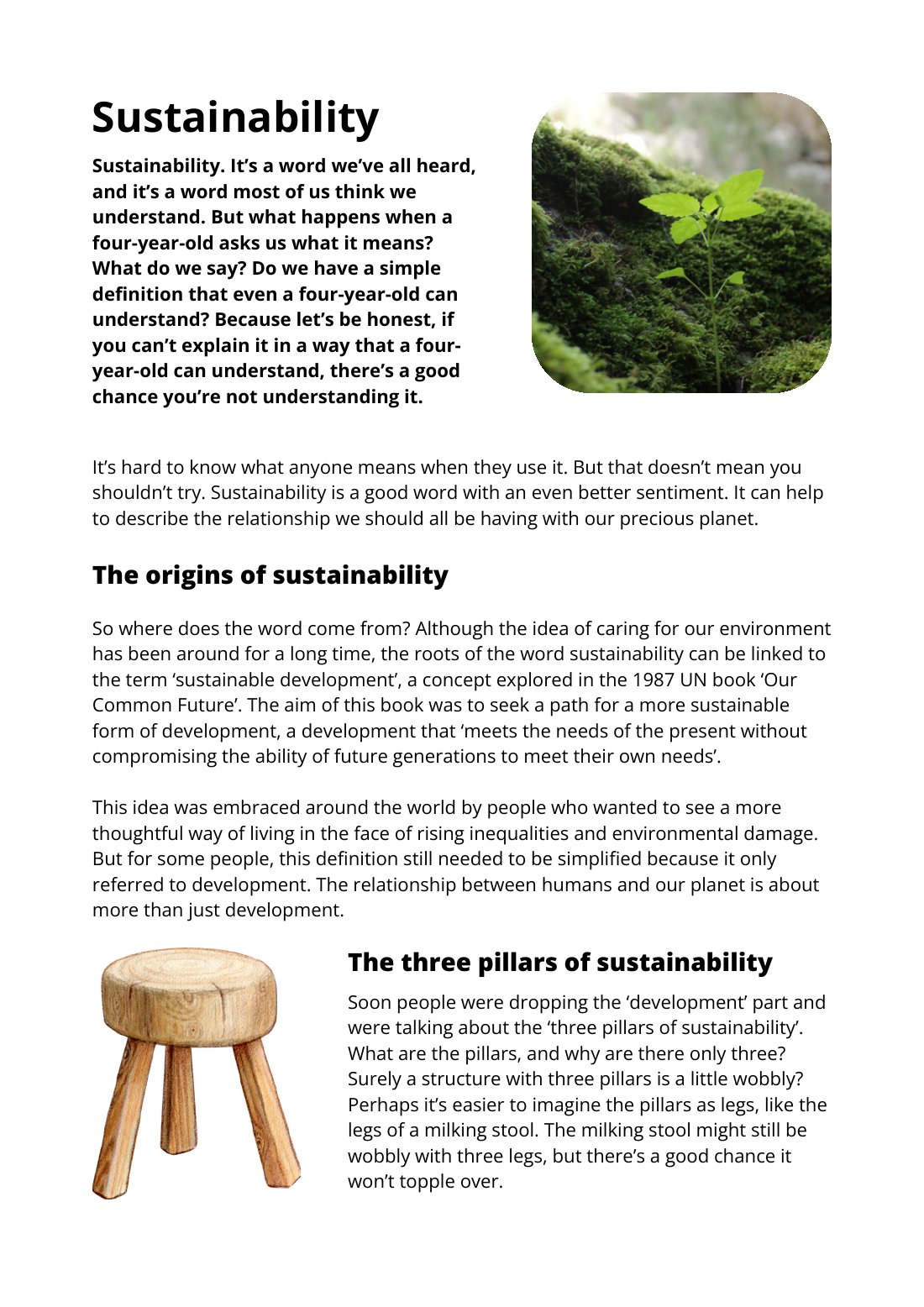 First page of Sustainability Factsheet