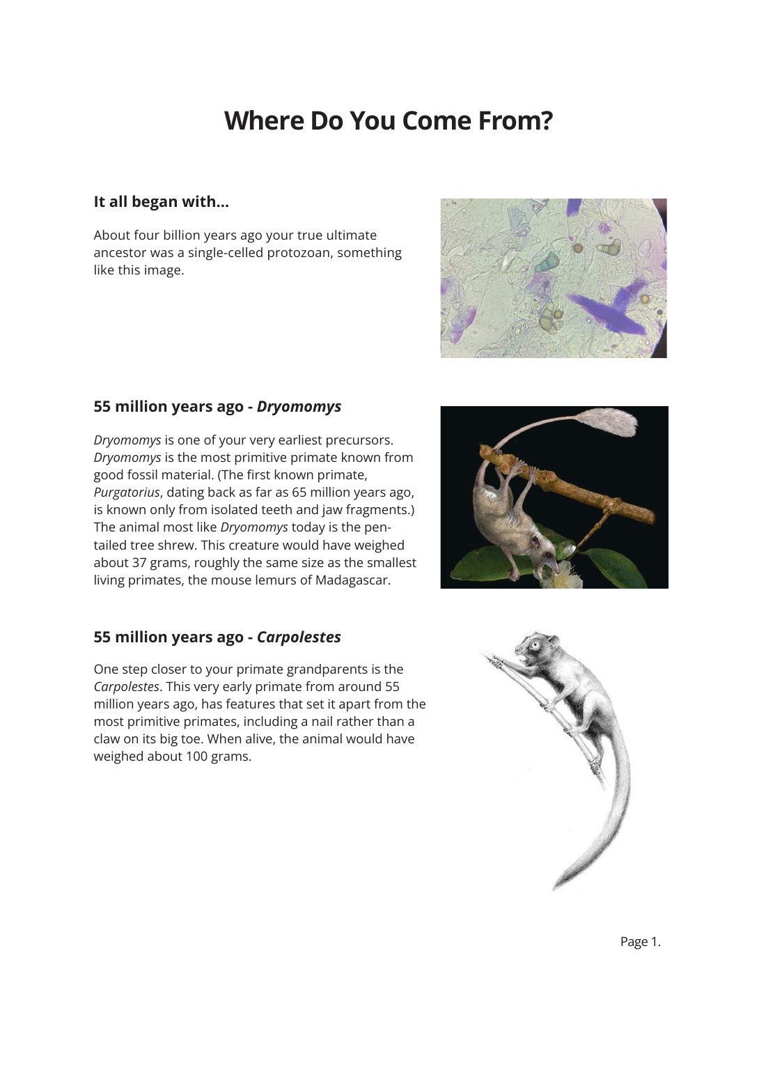 First page of Where Do You Come From? Factsheet