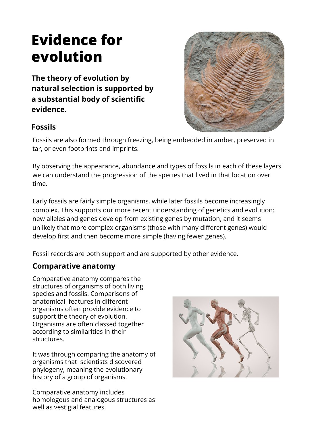 First page of Evidence for Evolution Factsheet