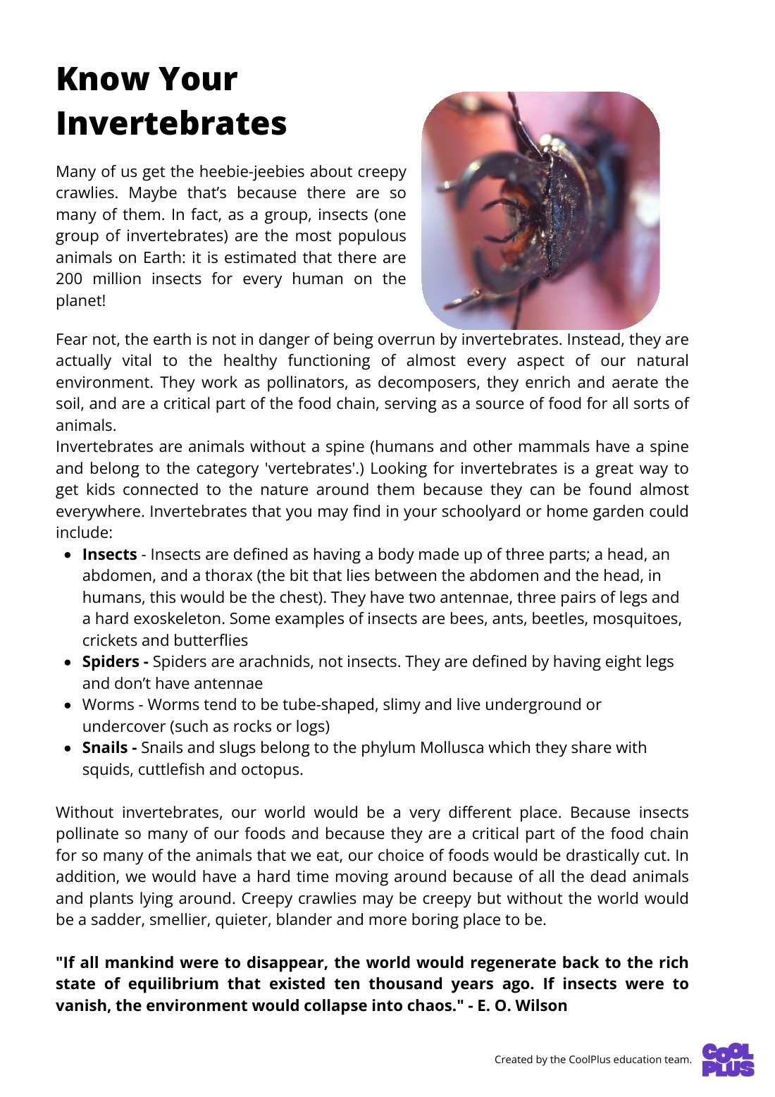First page of Know Your Invertebrates Factsheet