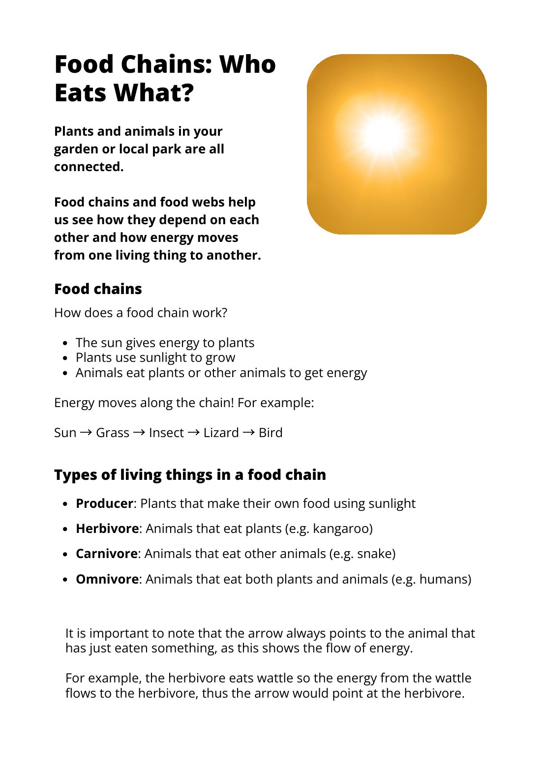First page of Food Chains: Who Eats What? Factsheet
