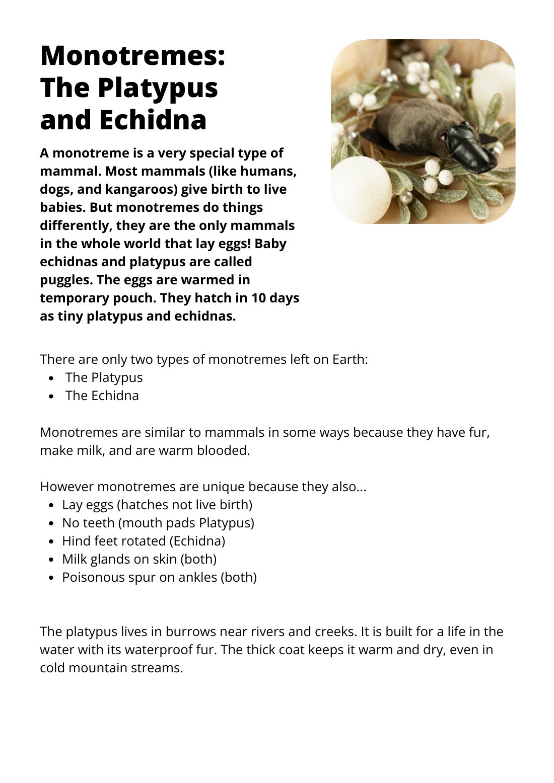 First page of Monotremes: The Platypus and Echidna