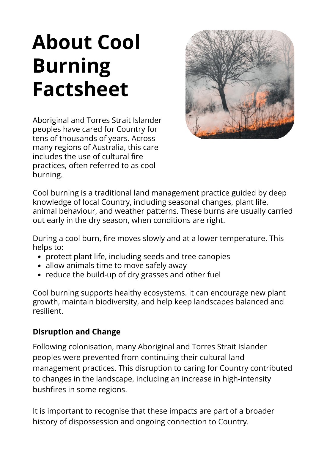 First page of About Cool Burning Factsheet