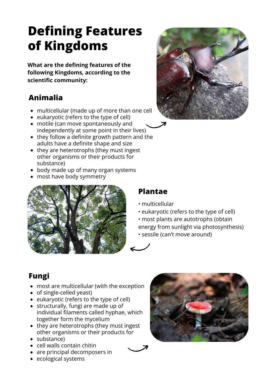 First page of Defining Features of Kingdoms Factsheet