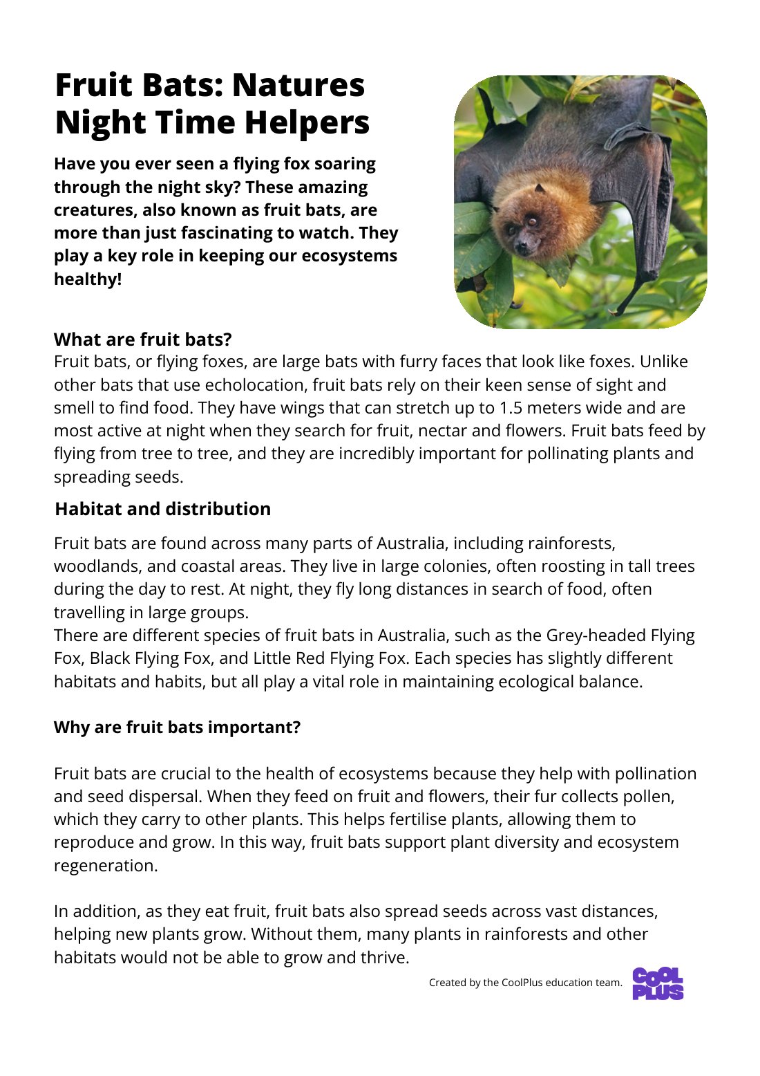First page of Fruit Bats: Natures nightime Helper Factsheet