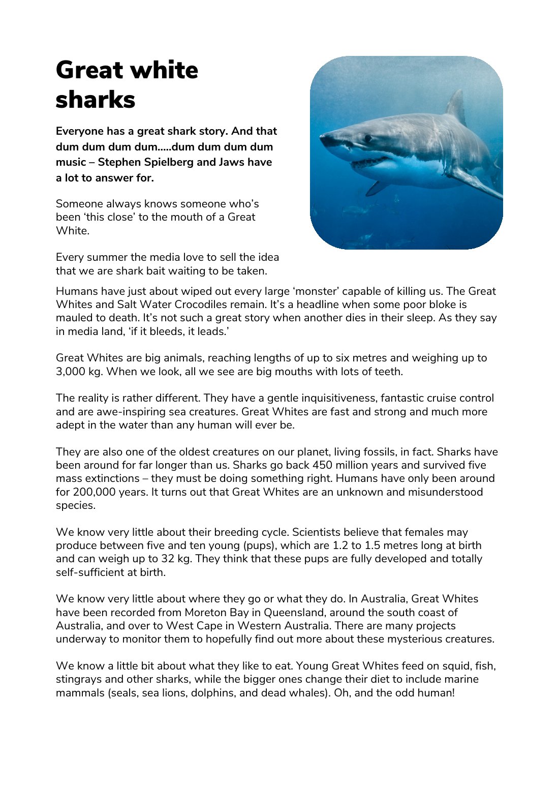 First page of Great White Sharks Factsheet