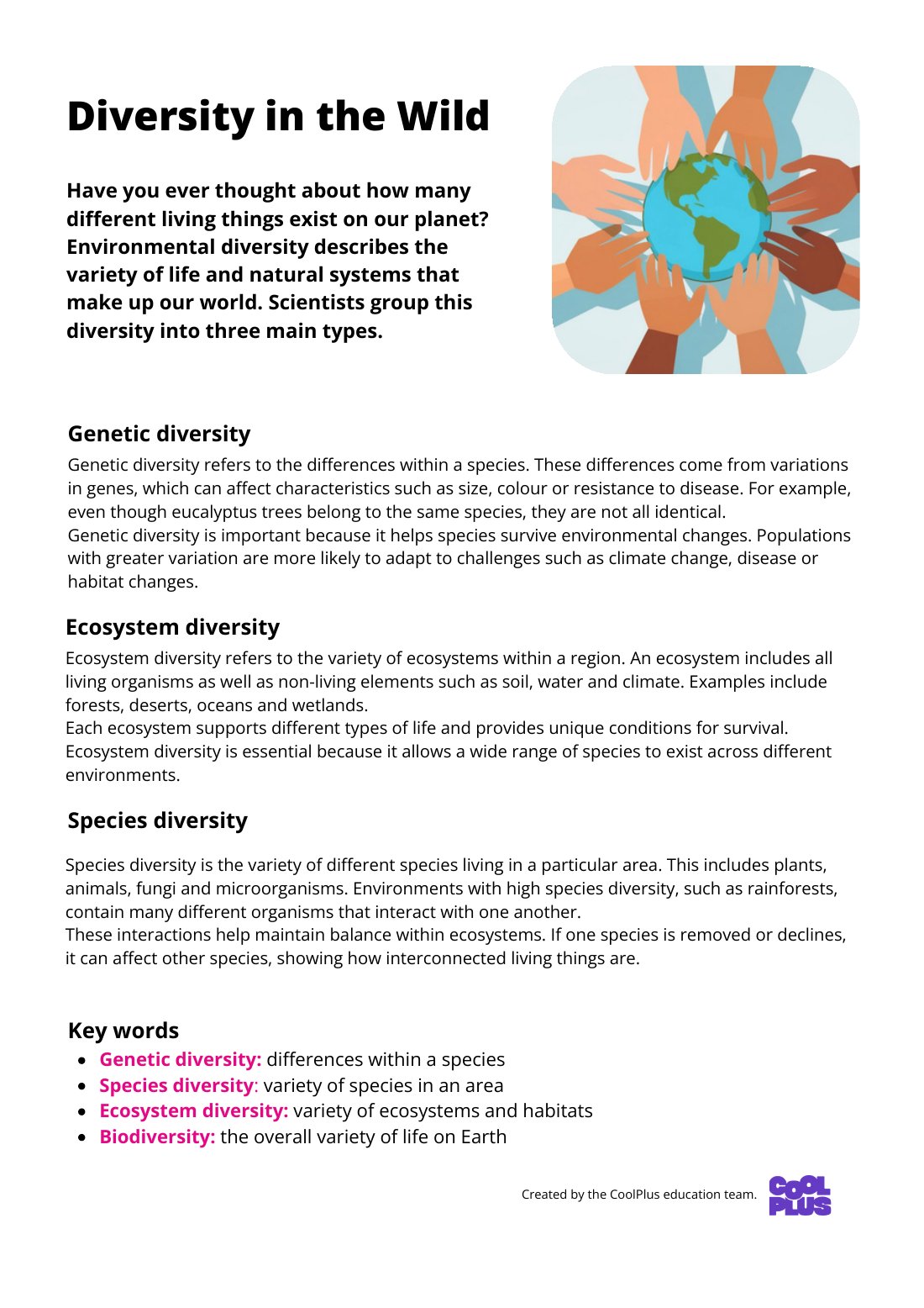 First page of Diversity in the Wild Factsheet