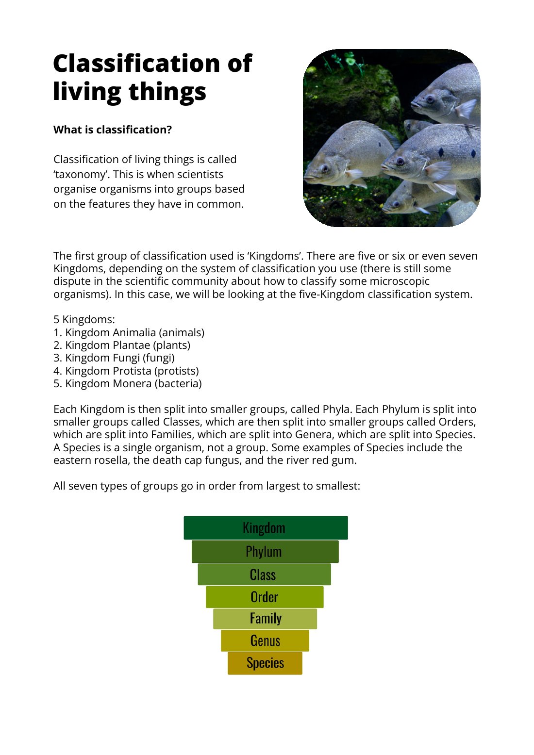First page of Classification Of Living Things Factsheet