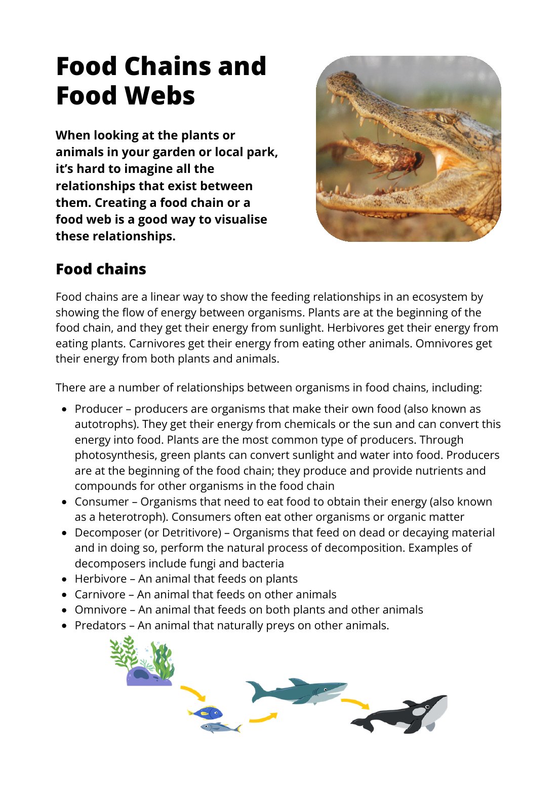 First page of Food Chains and Food Webs Factsheet