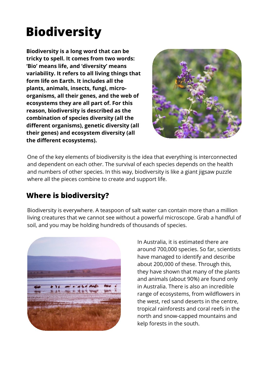 First page of Biodiversity Factsheet
