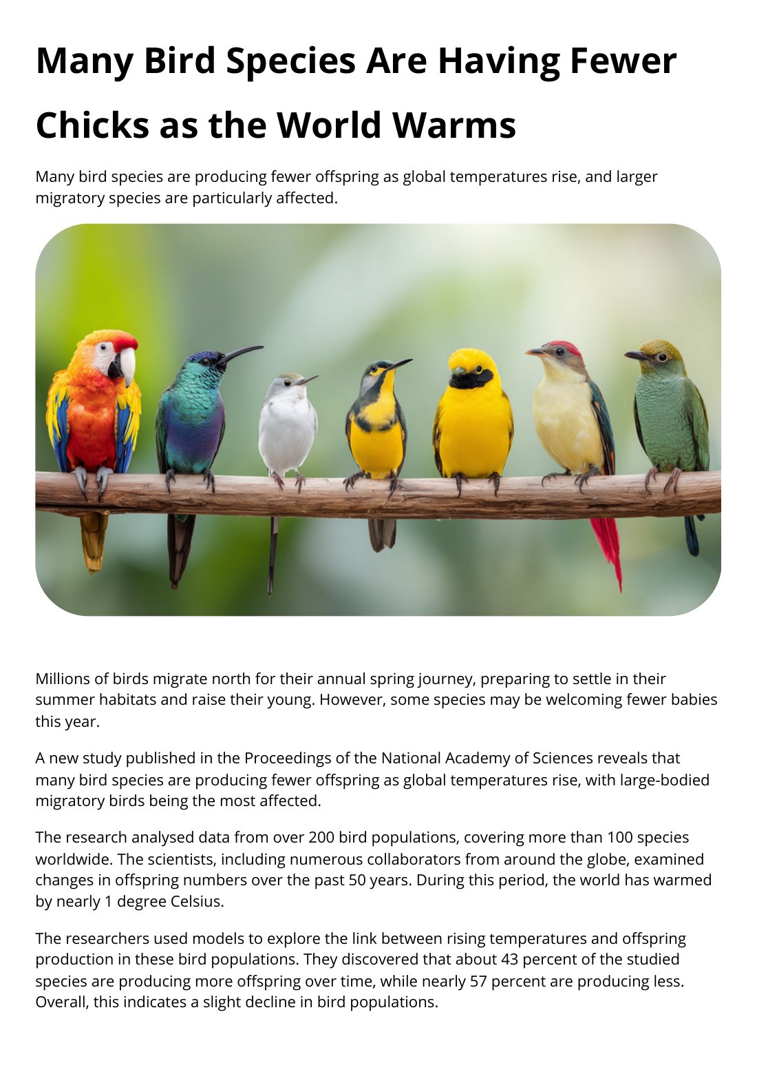 First page of Bird Species Factsheet