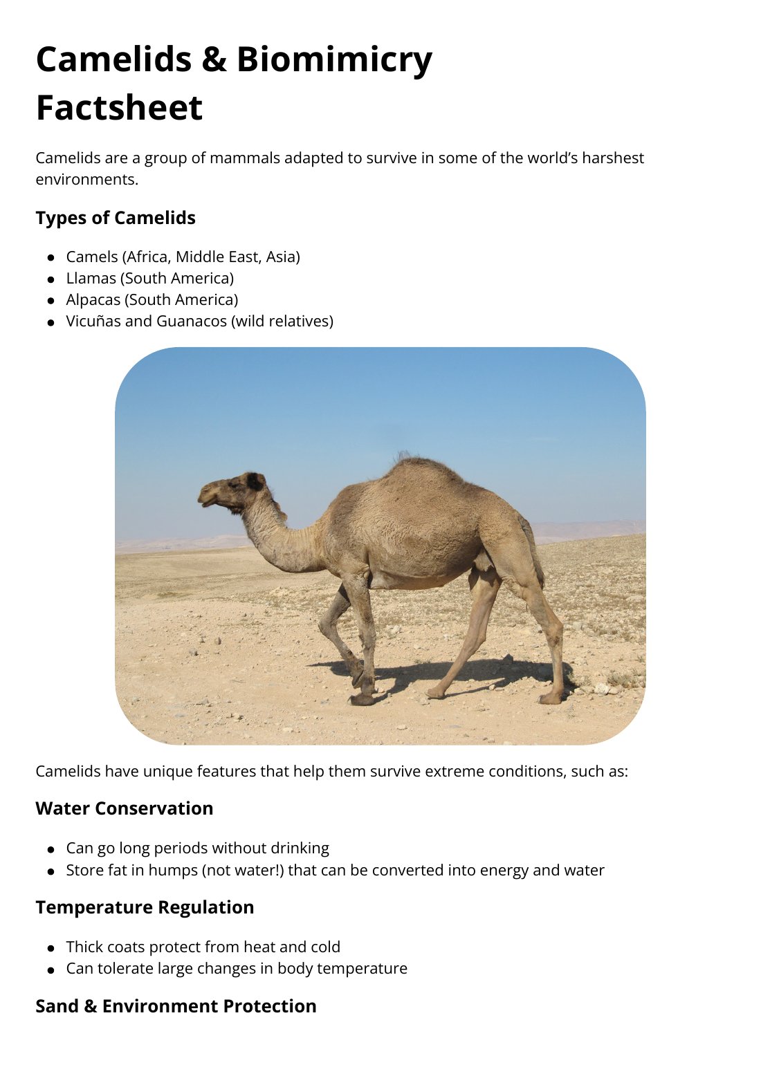 First page of Camelids & Biomimicry
Factsheet