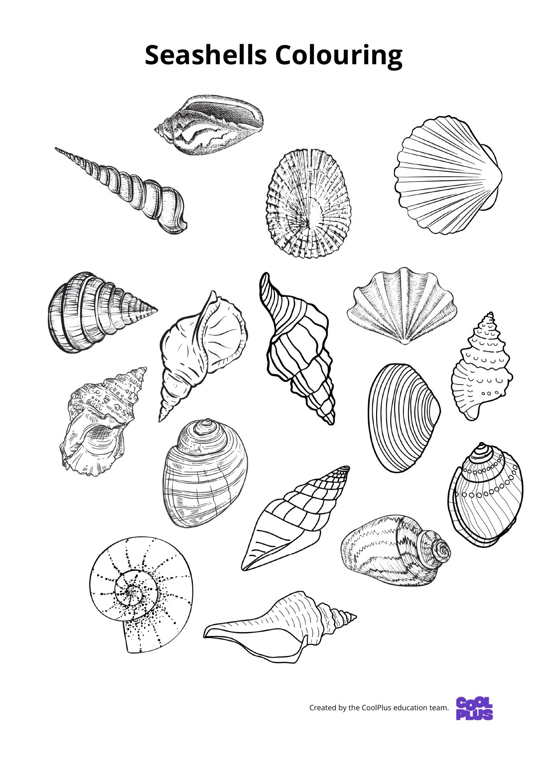 First page of Seashells Worksheet