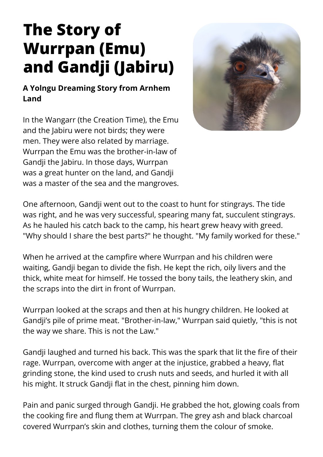 First page of The Story of Emu and Jabiru Worksheet