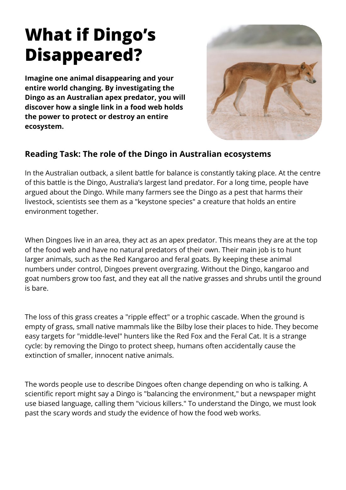 First page of What if Dingo's Disappeared? Worksheet