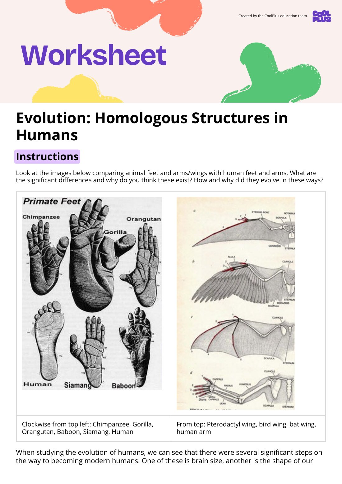 First page of Evolution: Homologous Structures in Humans Worksheet