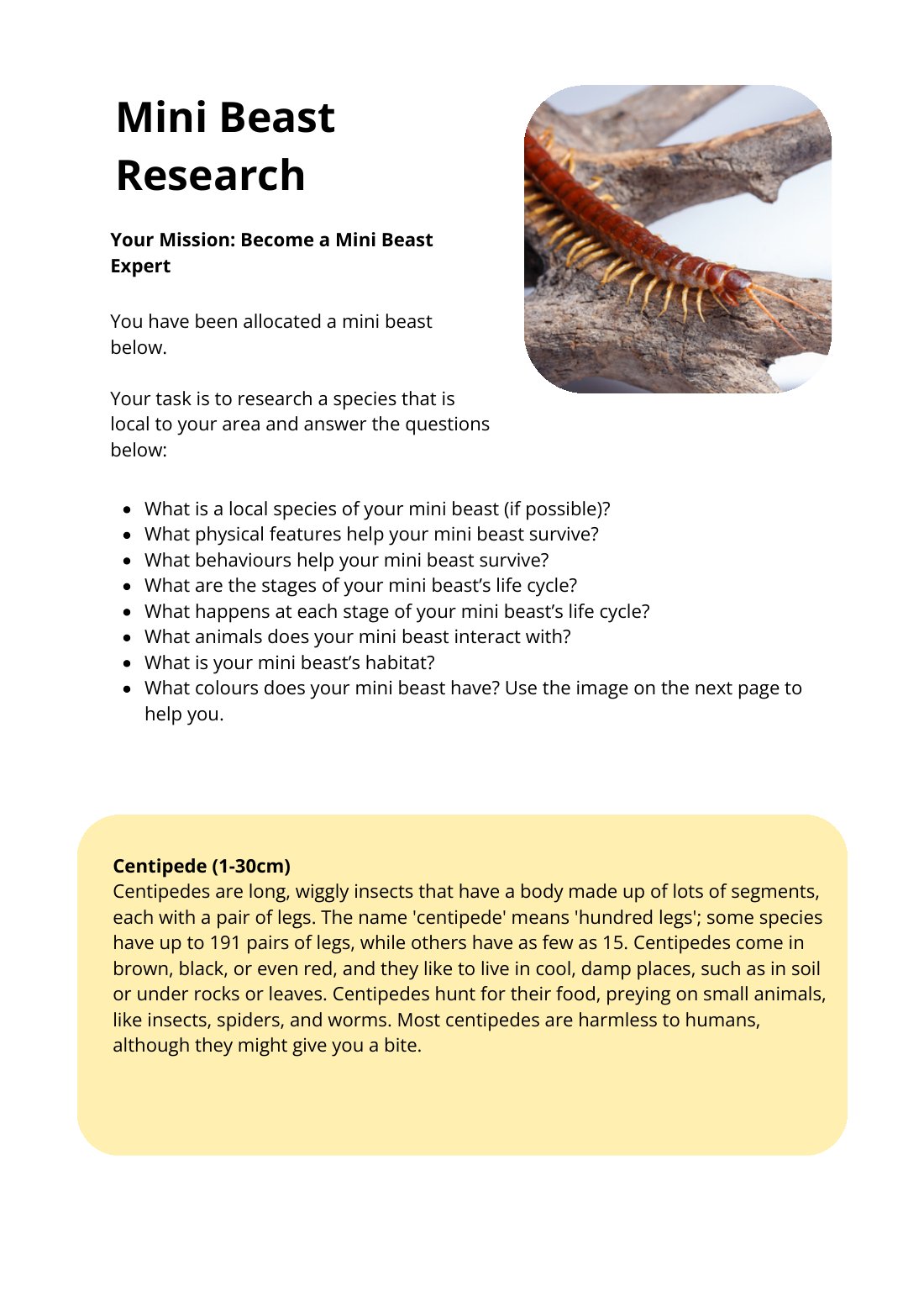 First page of Mini Beast Research Centipede Worksheet