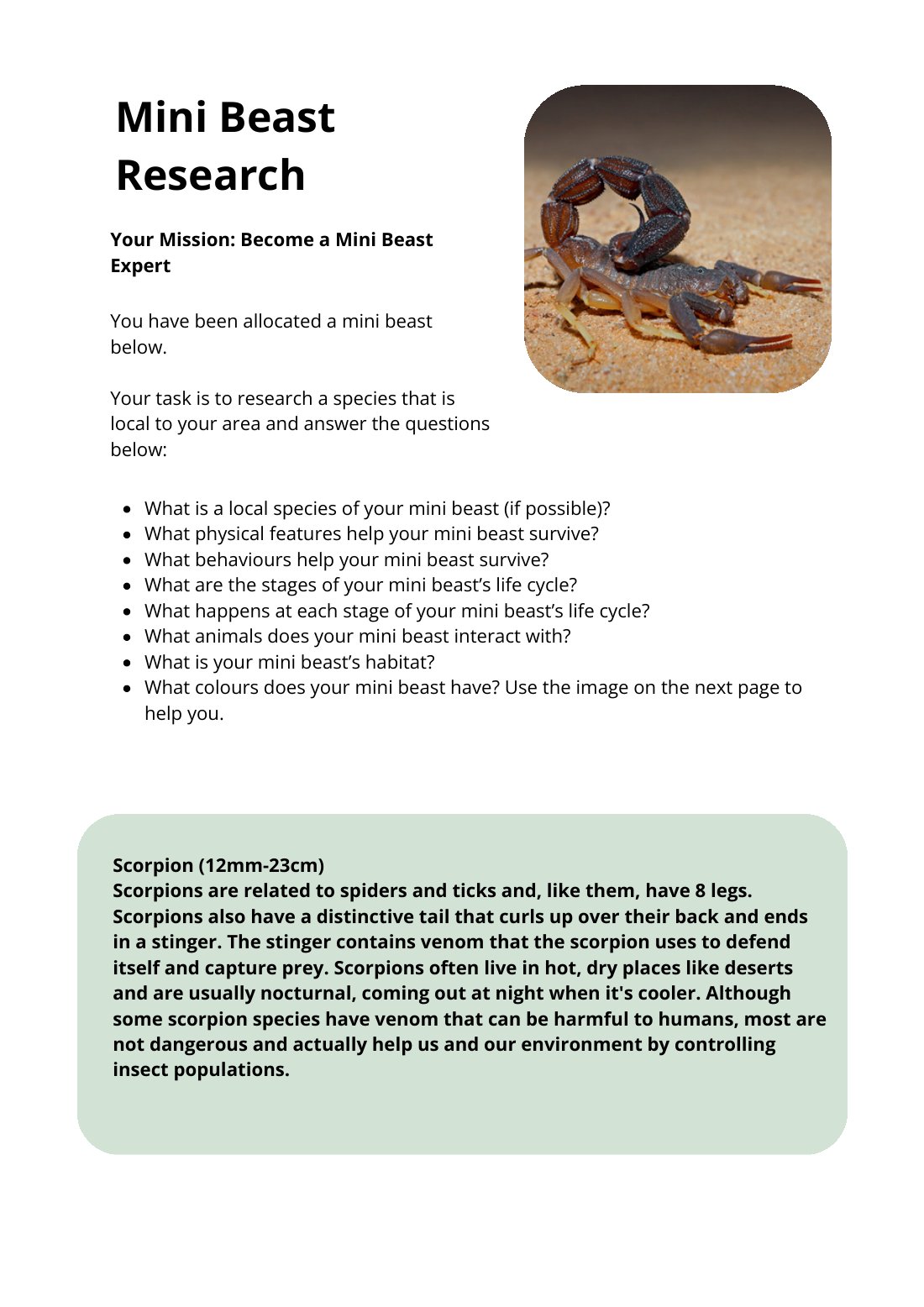 First page of Mini Beast Research Native Scorpion Worksheet