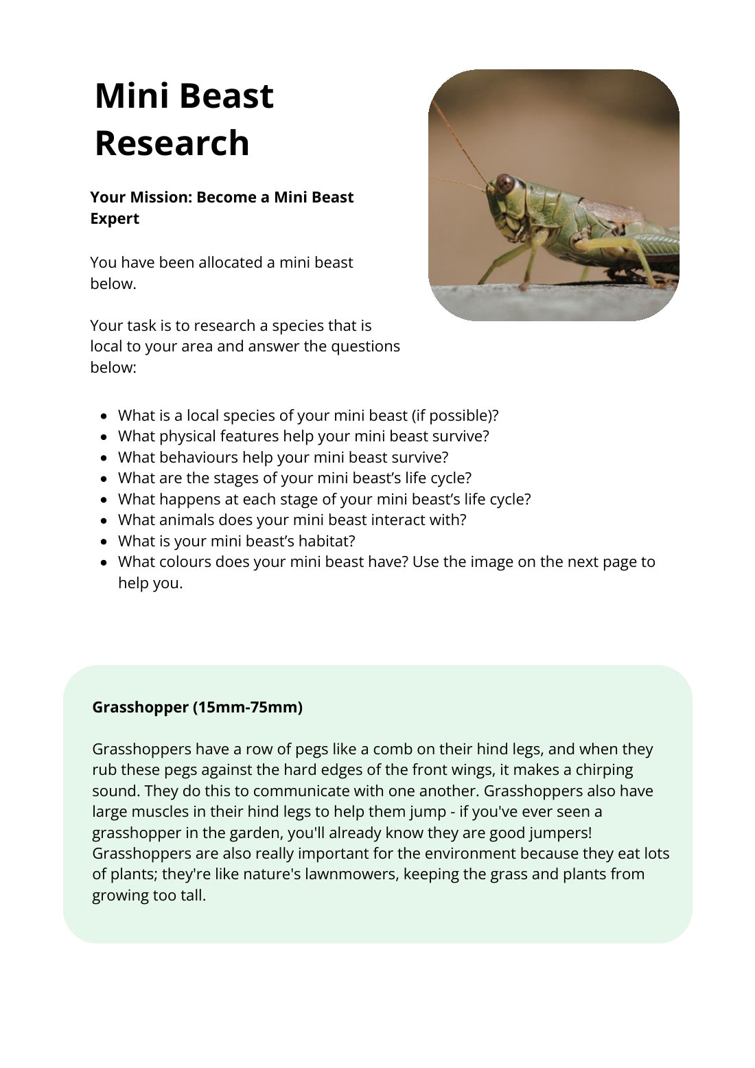 First page of Mini Beast Research Grasshopper Worksheet