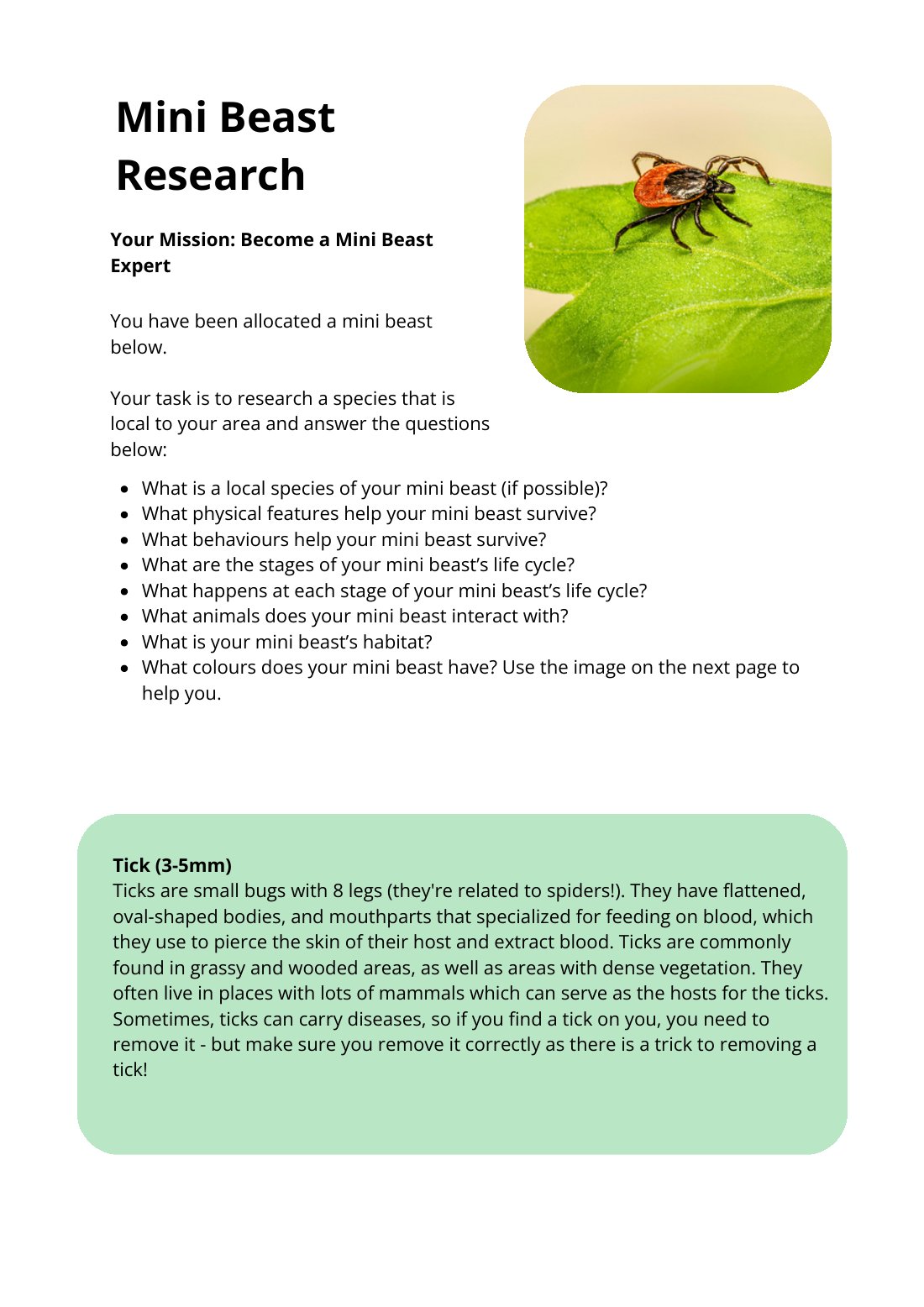 First page of Mini Beast Research Tick Worksheet
