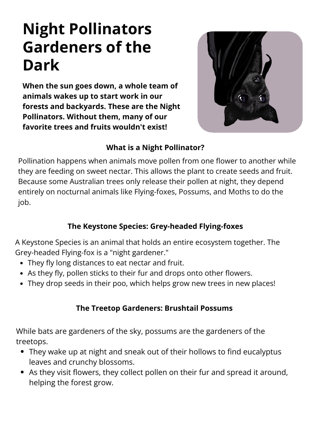 First page of Night Pollinators Worksheet