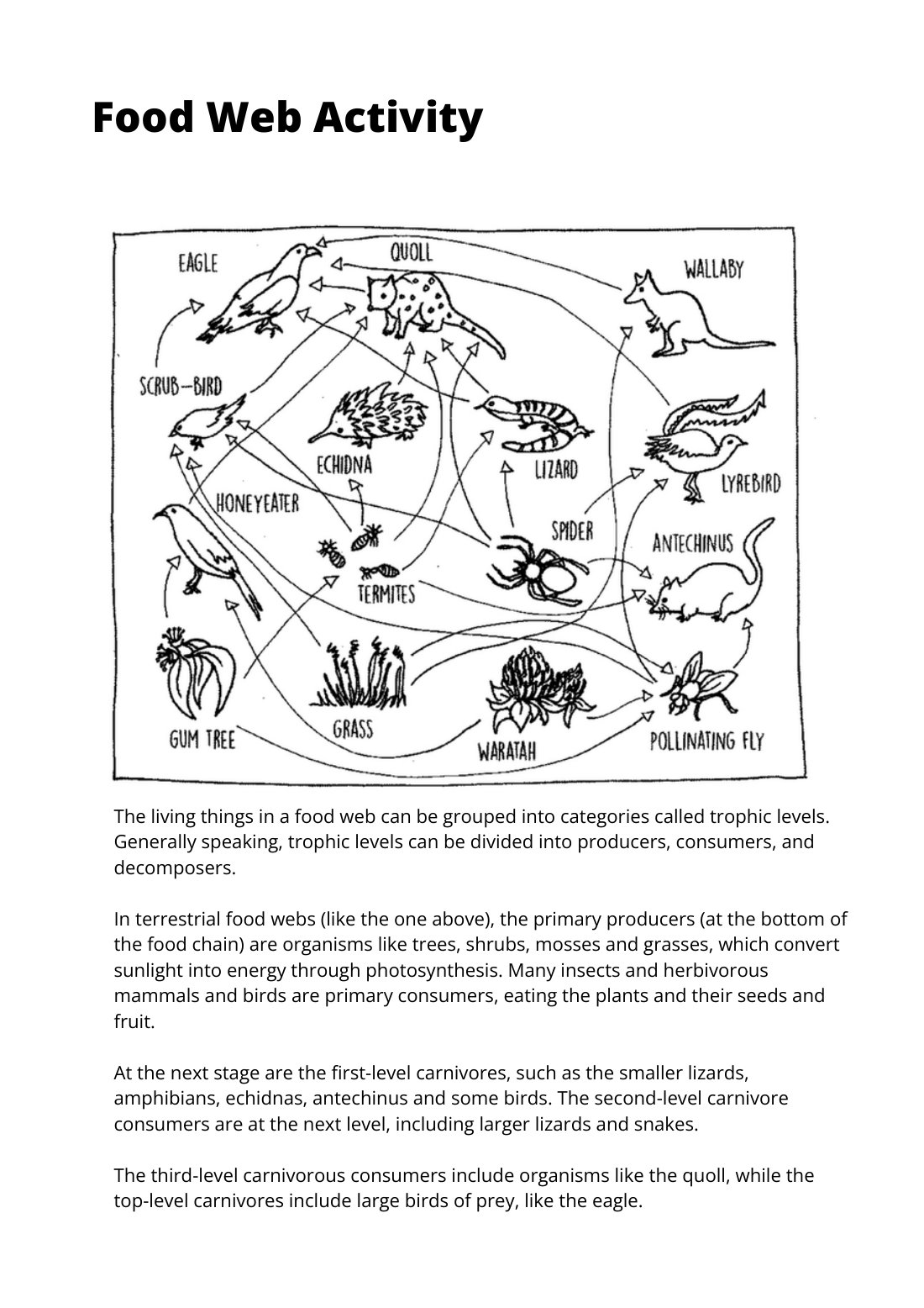 First page of Food Web Activity Worksheet