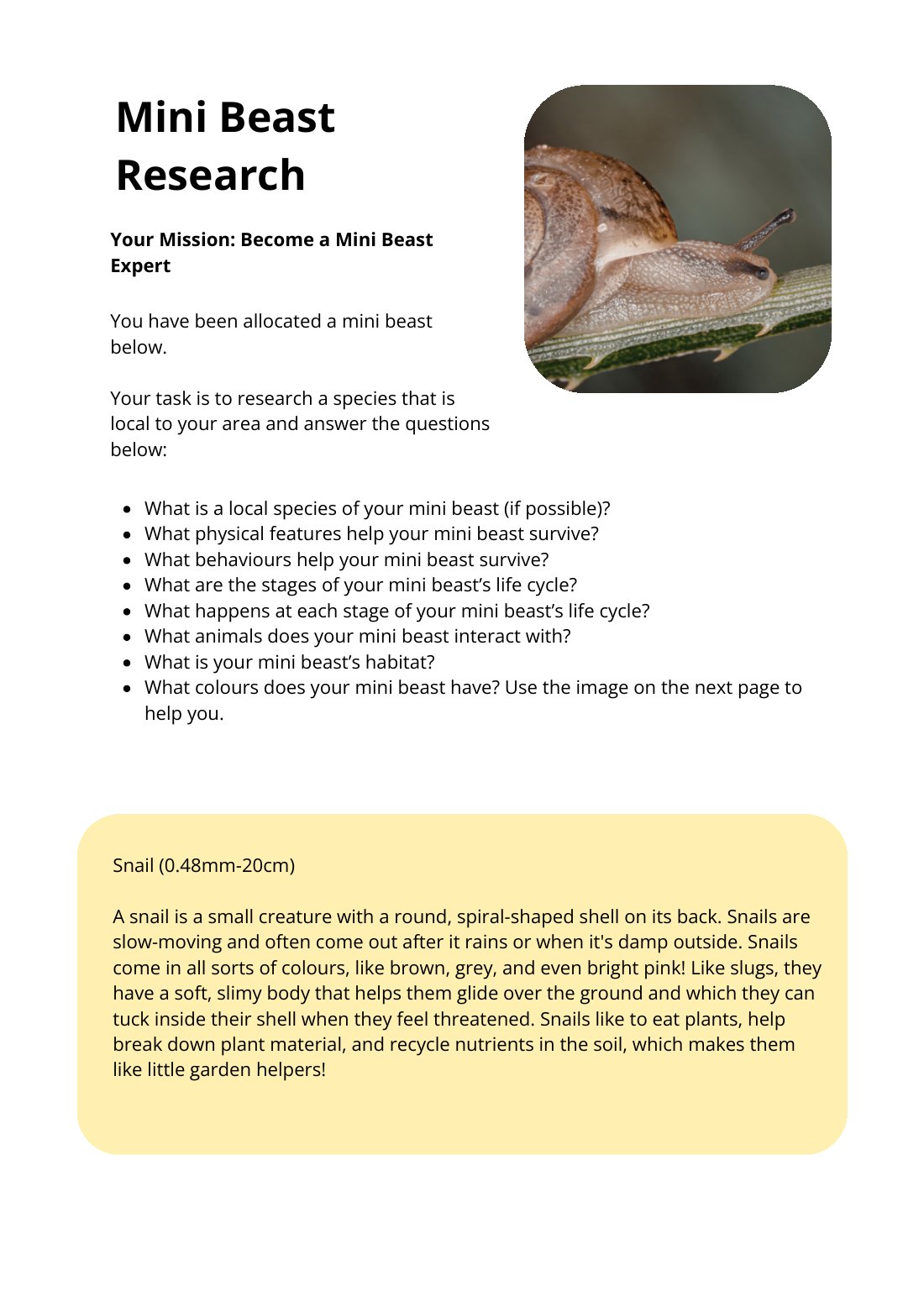 First page of Mini Beast Research Snail Worksheet