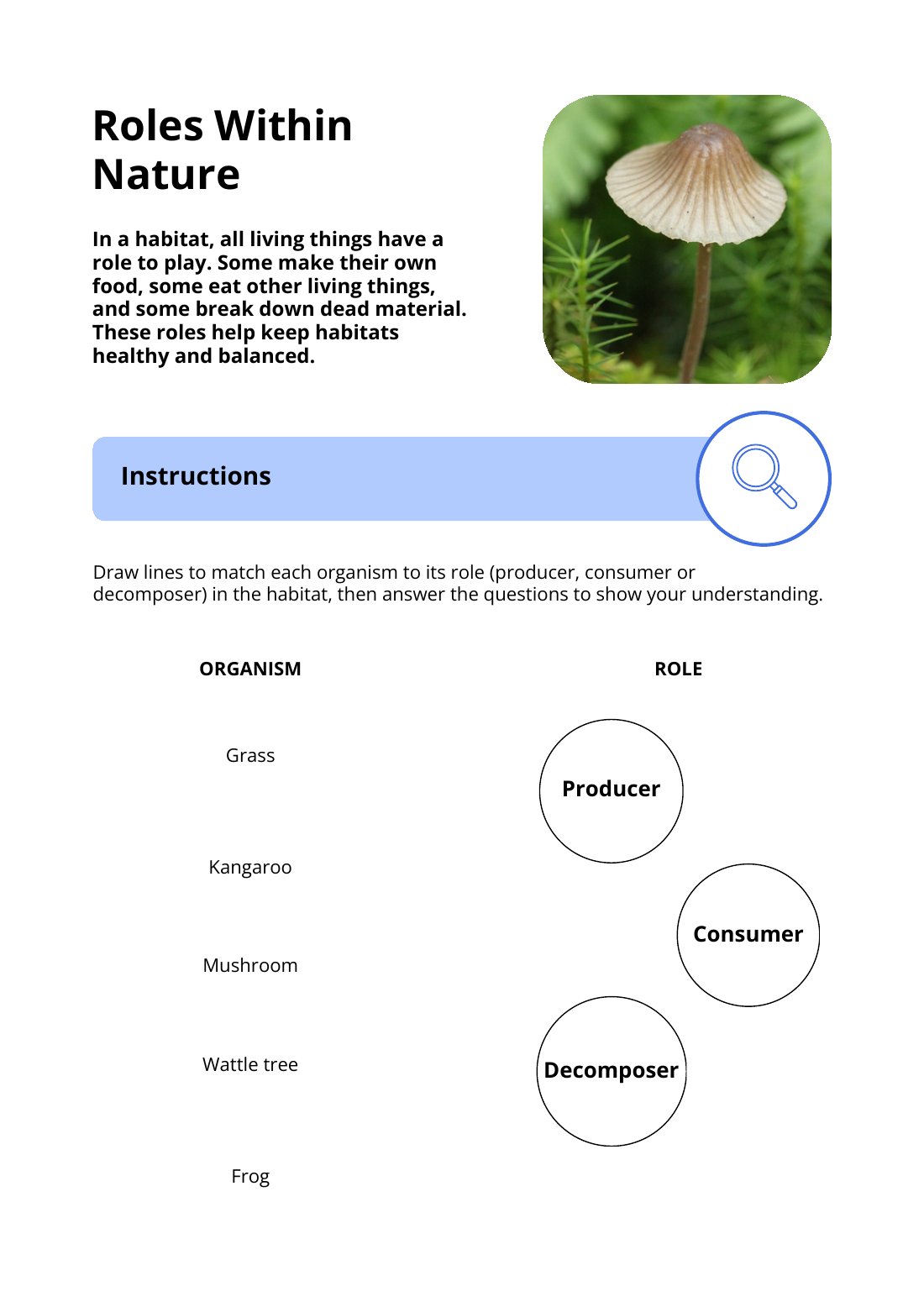 First page of Roles Within Nature Worksheet