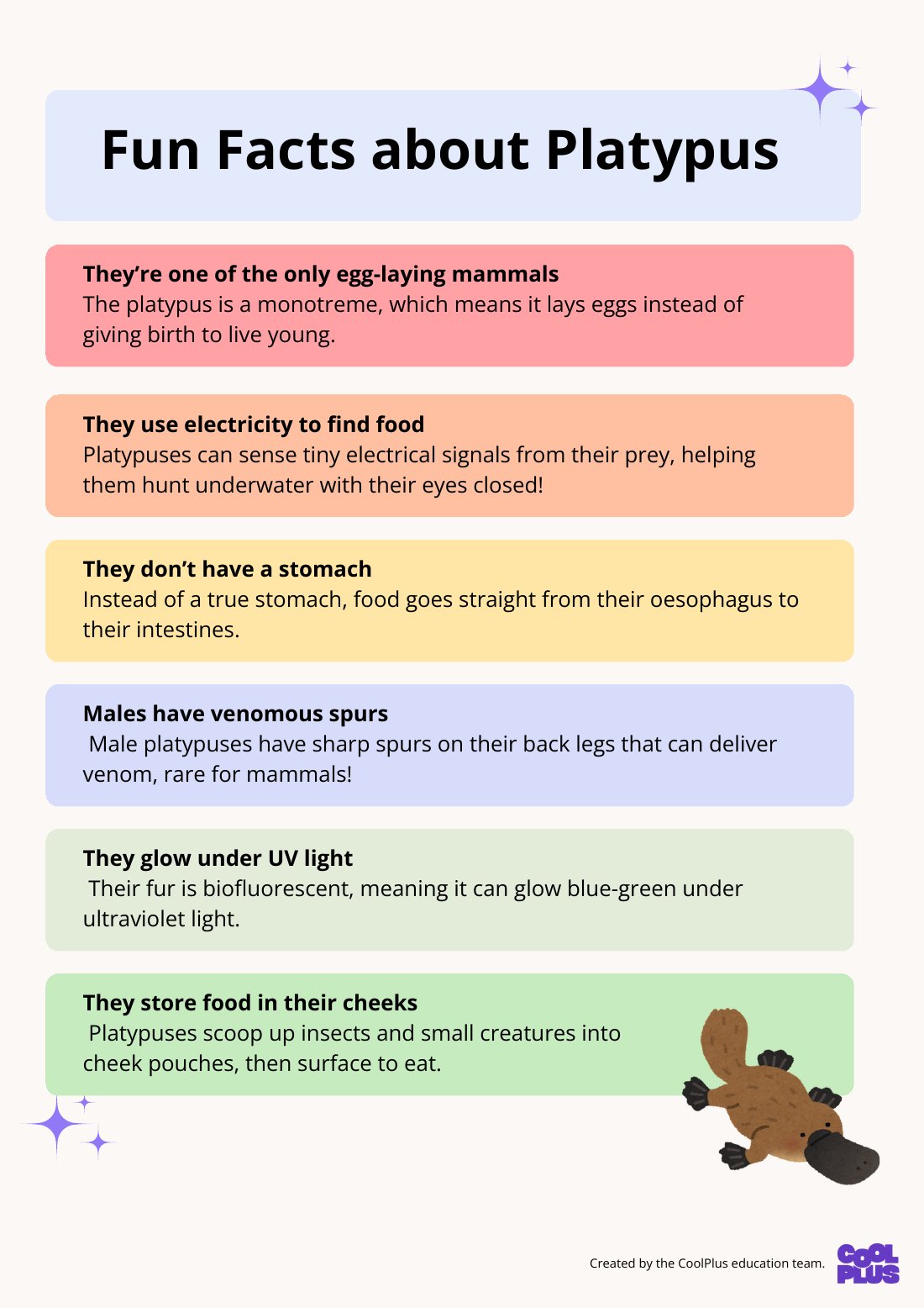 First page of Fun Facts about Platypus Education Poster