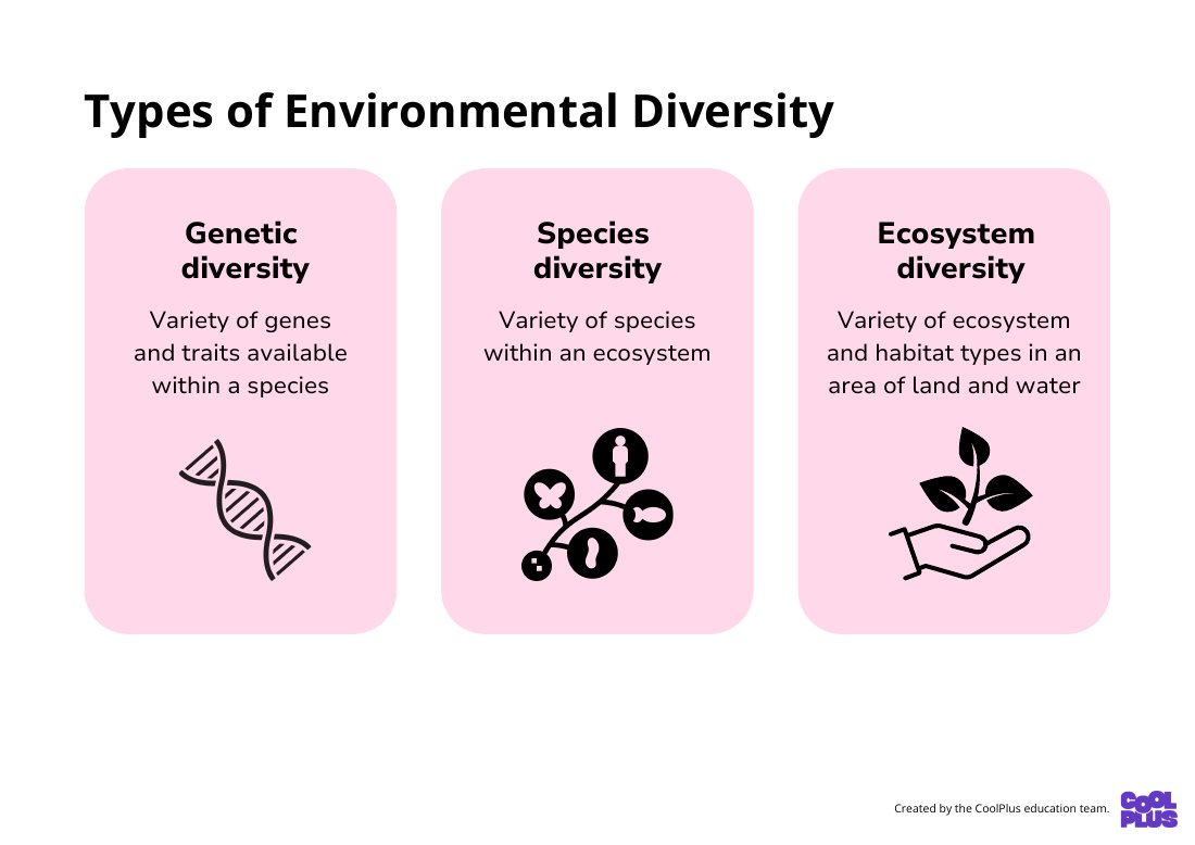 First page of Environment Diversity Education Poster