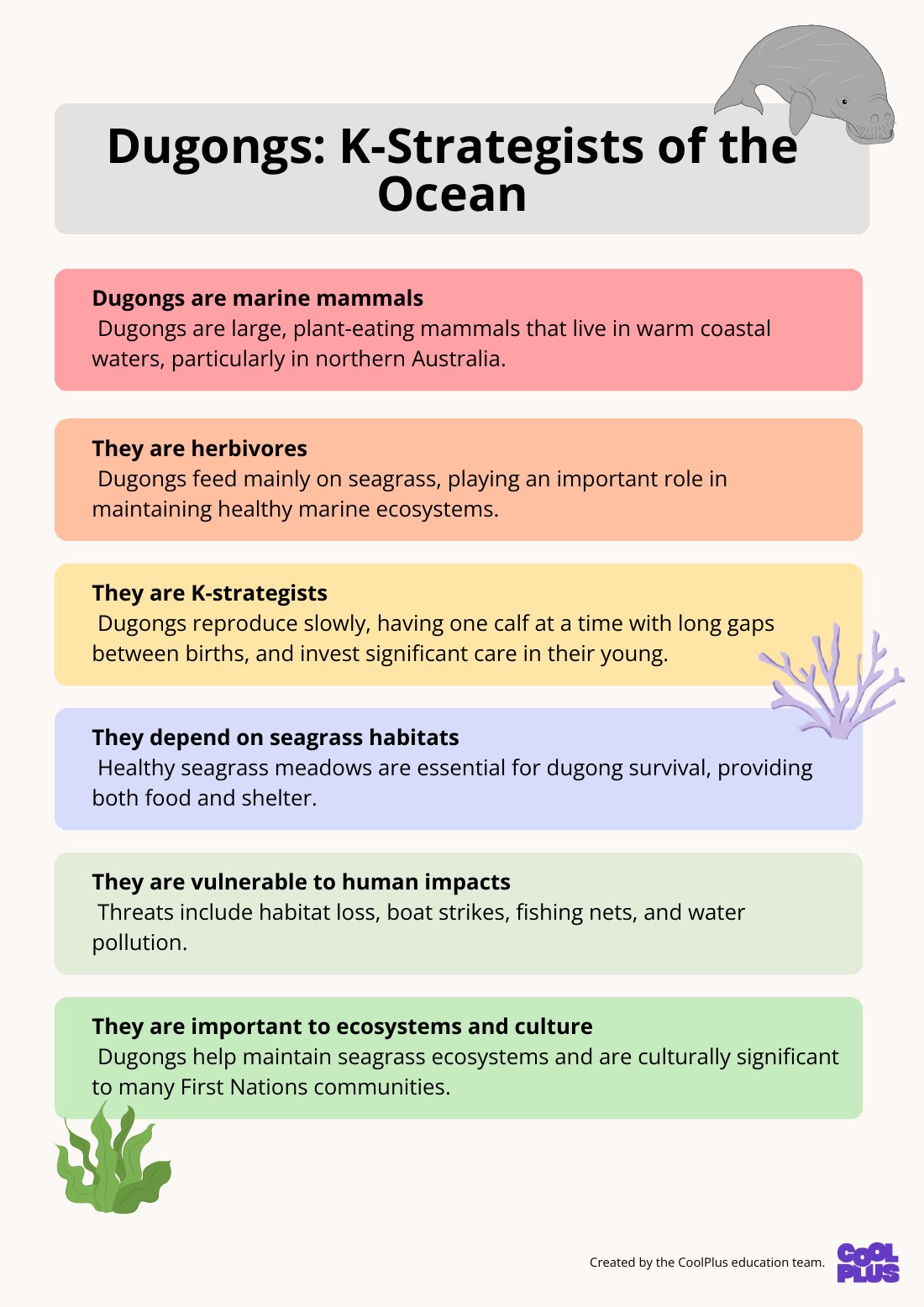 First page of Dugongs: K-Strategists of the Ocean Poster