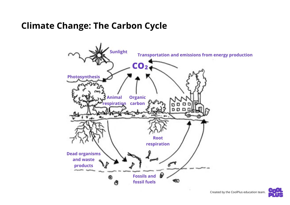 First page of Climate Literacy Carbon Cycle Education Infographic