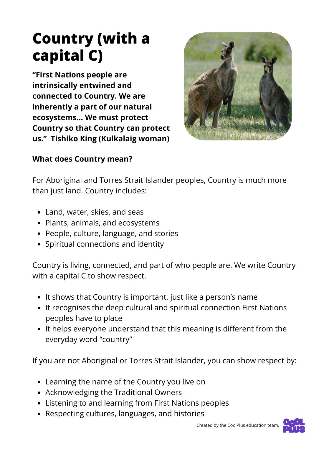 First page of Country (with a capital C) Factsheets