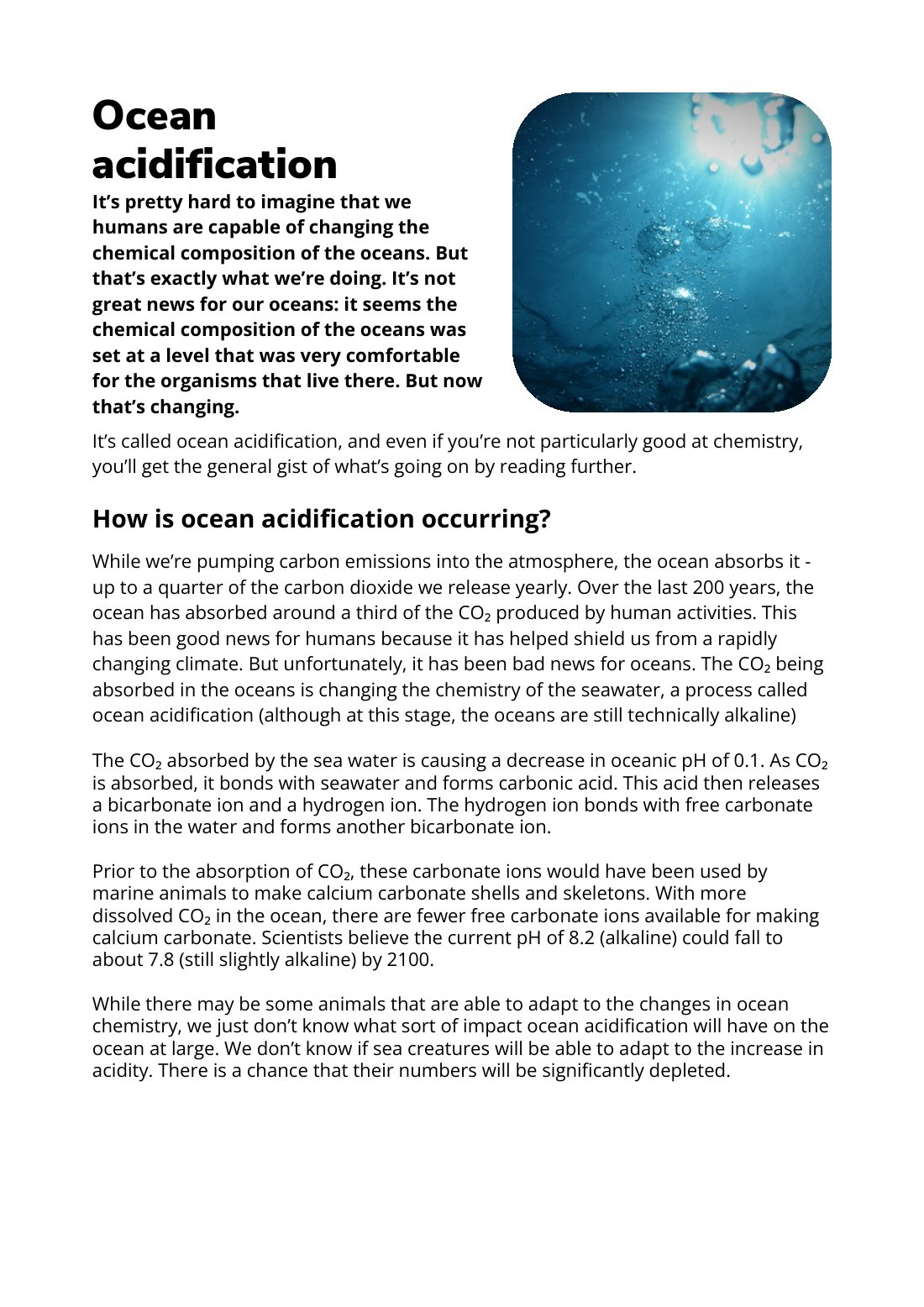 First page of Ocean Acidification Factsheet