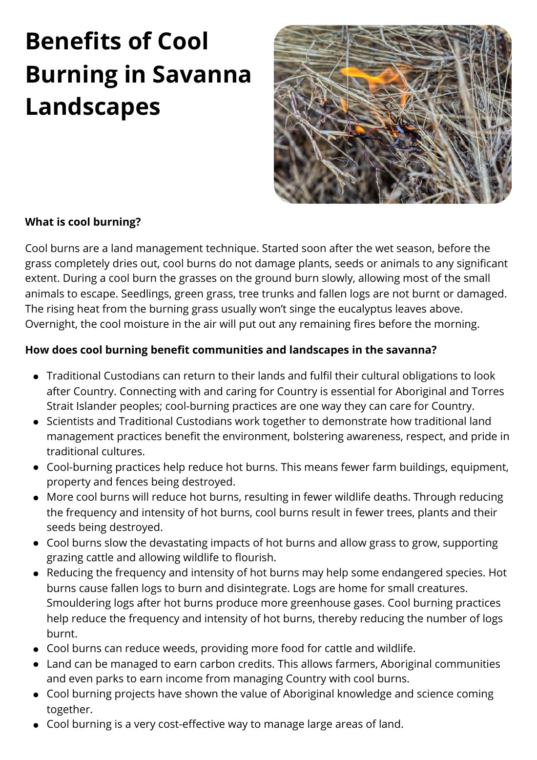 First page of Benefits of Cool Burning in Savanna Landscapes Factsheet
