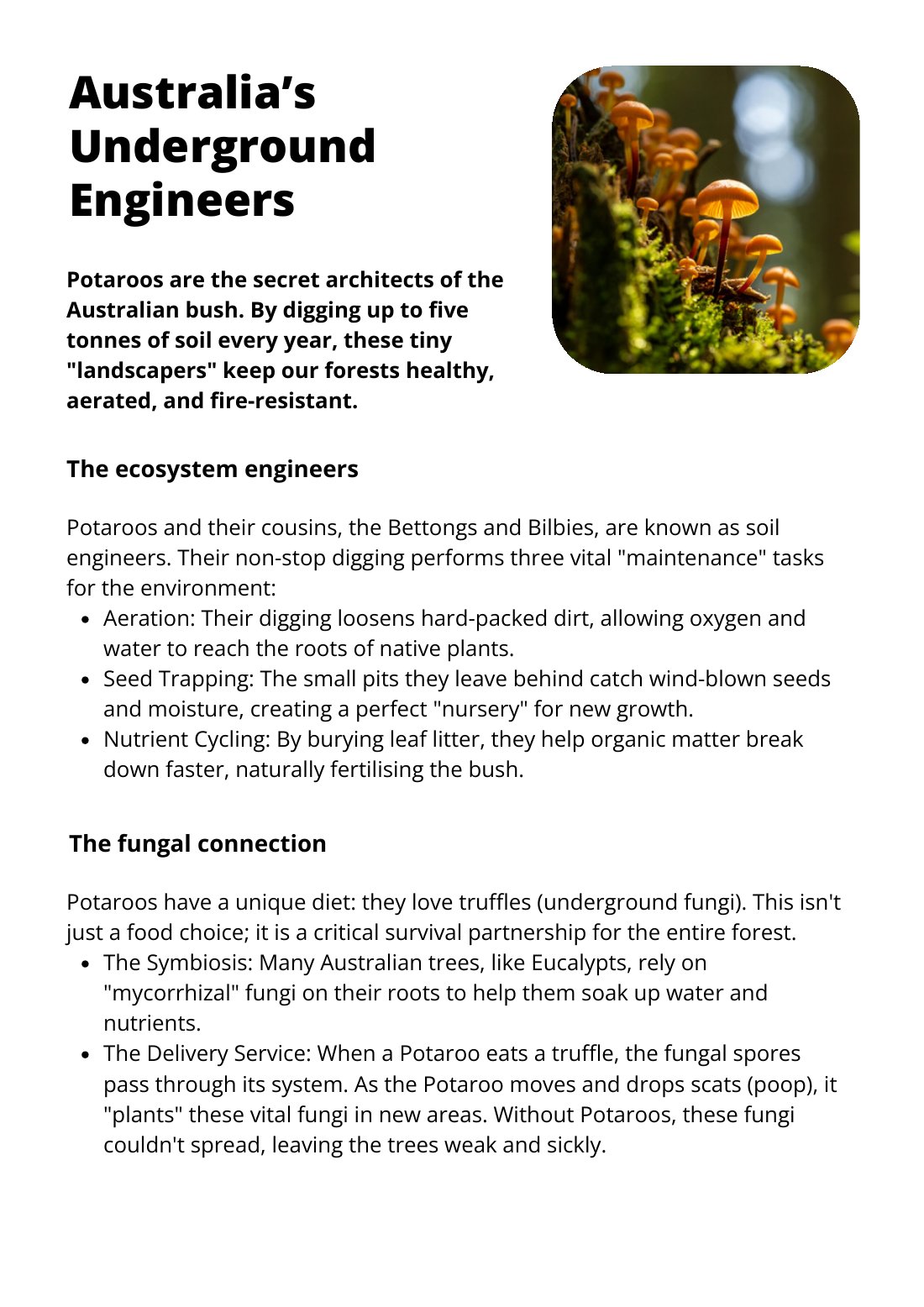 First page of Australia's Underground Engineers Factsheet
