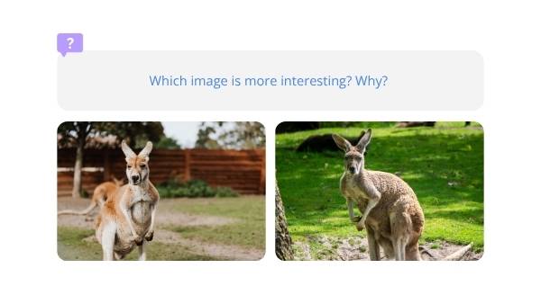Photography Principles Education Presentation — slide 3