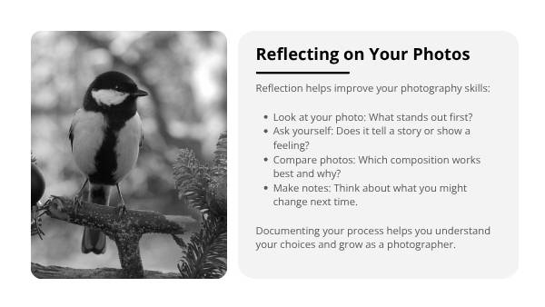 Photography Principles Education Presentation — slide 6