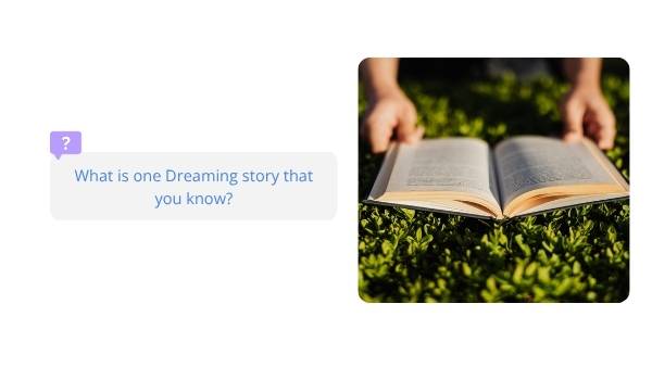 Dreaming Stories - The Rainbow Serpent Education Presentation — slide 12