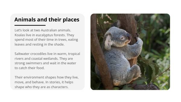 Emu and the Jabiru Education Presentation — slide 5