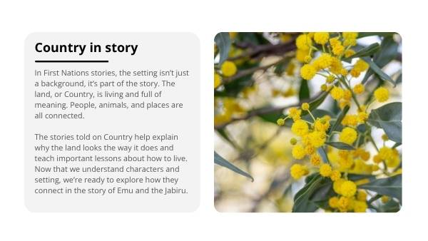 Emu and the Jabiru Education Presentation — slide 6