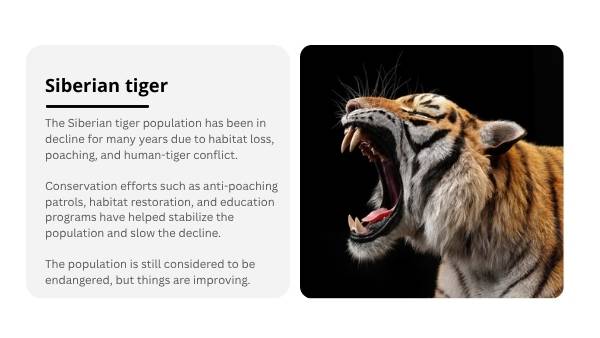 Using Graphs and Language to Persuade Education Presentation — slide 3