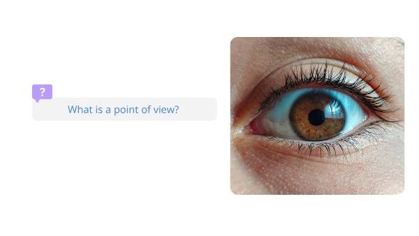 Expressing a Point of View Education Presentation — slide 3