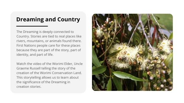 Understanding Dreaming Education Presentation — slide 12